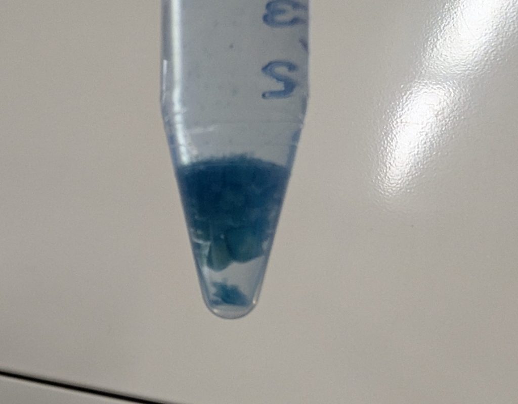 indigo dyed silk&nbsp;hydrogel